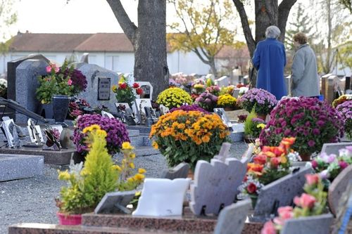 Pour faciliter le fleurissement des tombes, plusieurs cimetières niortais seront exceptionnellement... - Vivre à Niort