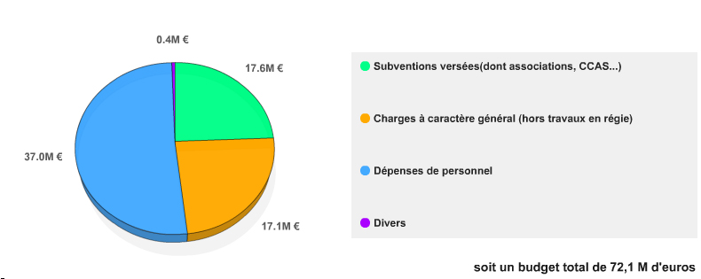 graphique du budget de gestion 2010
