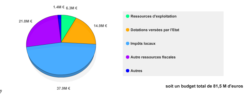 graphique des recettes de gestion 2010
