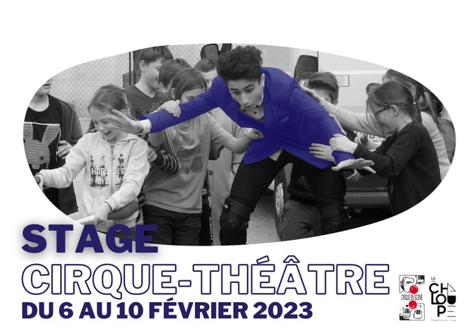 Stage cirque-théâtre