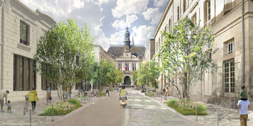 rue de l'hôtel de ville © Phytolab