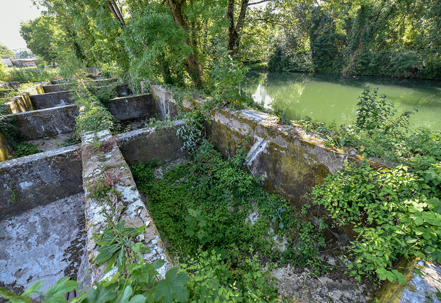 Emplacement des futurs Bassins botaniques, mai 2018 @Bruno Derbord