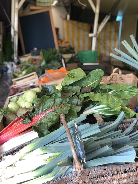 Paniers de légumes en vente à prix modique