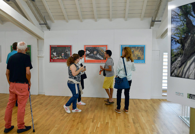 Exposition : Les 17 objectifs du développement durable