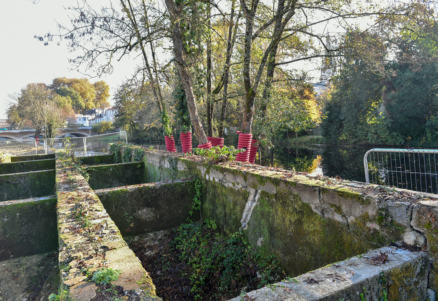 Emplacement des futurs Bassins botaniques, novembre 2018 ©Bruno Derbord