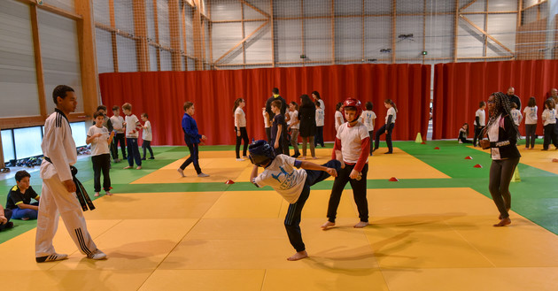 Taekwondo