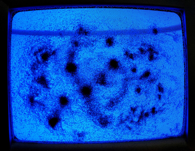 Exposition-Installation : From X / To X