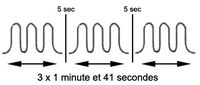 variation du signal sur trois cycles successifs d'une durée de 1 minute et 41 secondes.