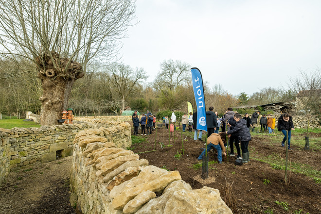 Plantation d’arbres au jardin-forêt gourmand du Chemin des Brouettes