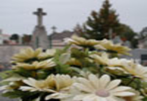 Illustration article : Toussaint - cimetières accessibles du 25 au 31 octobre 2008