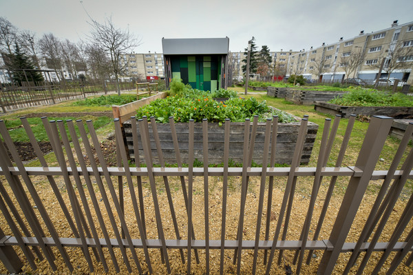 Jardins partagés de la place Raoul Auzanneau © B. Derbord