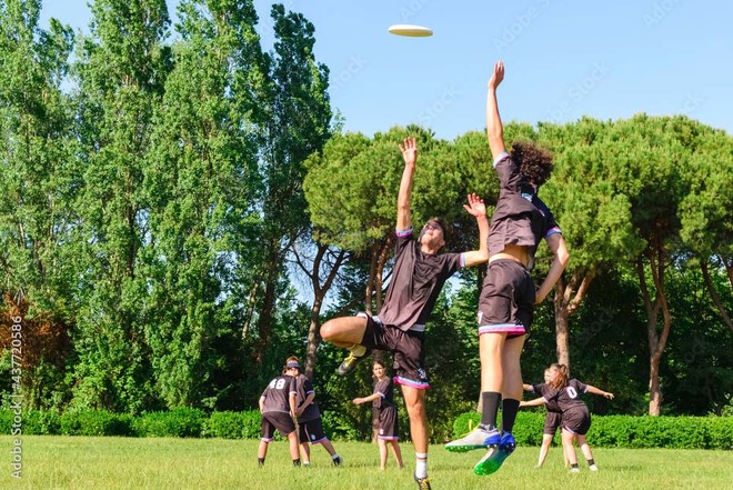 Sport : Championnat régional d’ultimate frisbee