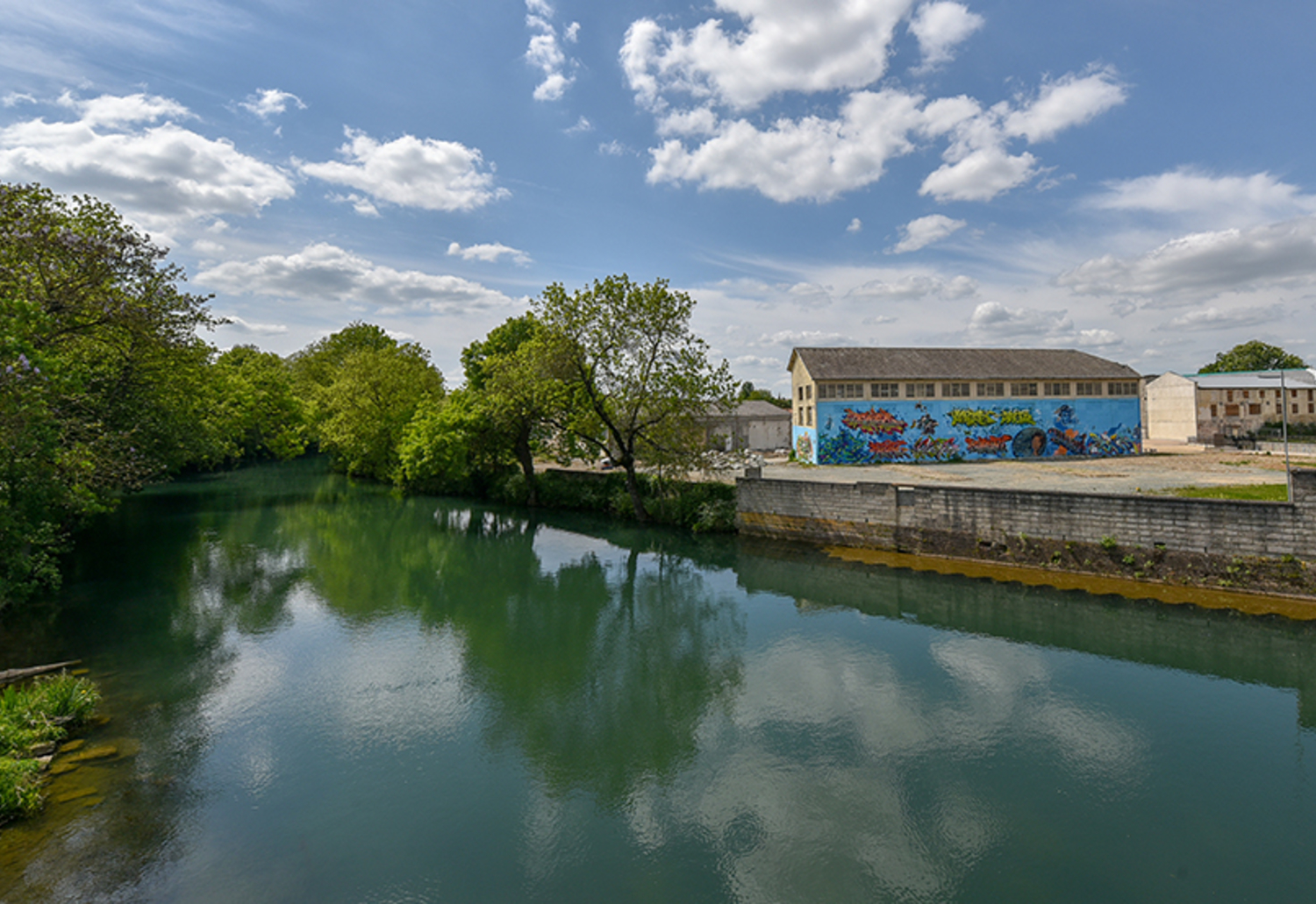 La Sèvre naturelle à Boinot, mai 2018 @Bruno Derbord