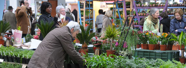 Le parc des expos. Photo Darri Le parc des expos. Photo Darri