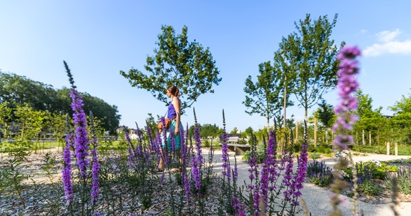 Jardins de la Brèche © A. Giraud