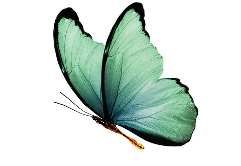 illustration de la manifestation