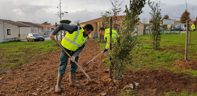 Plantations dans le quartier de Champommier ©Sylvie Méaille