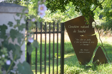 Cimetière naturel de Souché