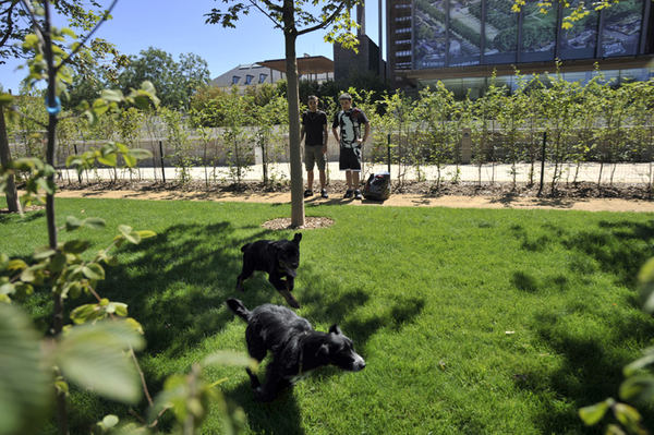 Jardins de la Brèche, l'aire d'ébats pour chiens. Photo Darri.