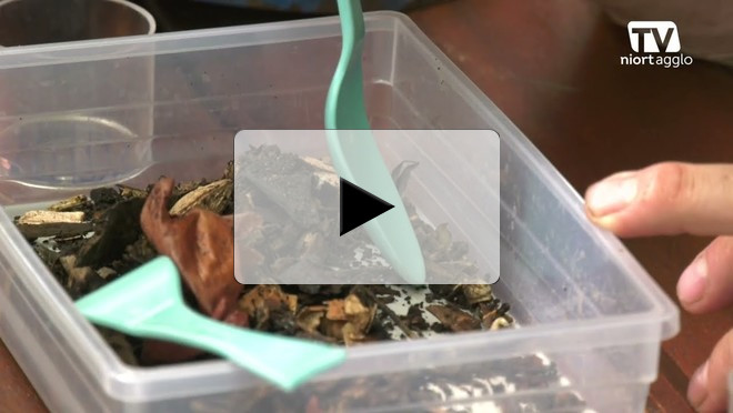 Niort Agglo forme des référents de sites pour le compostage collectif des déchets verts