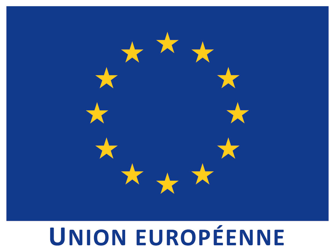 Union Européenne Union Européenne