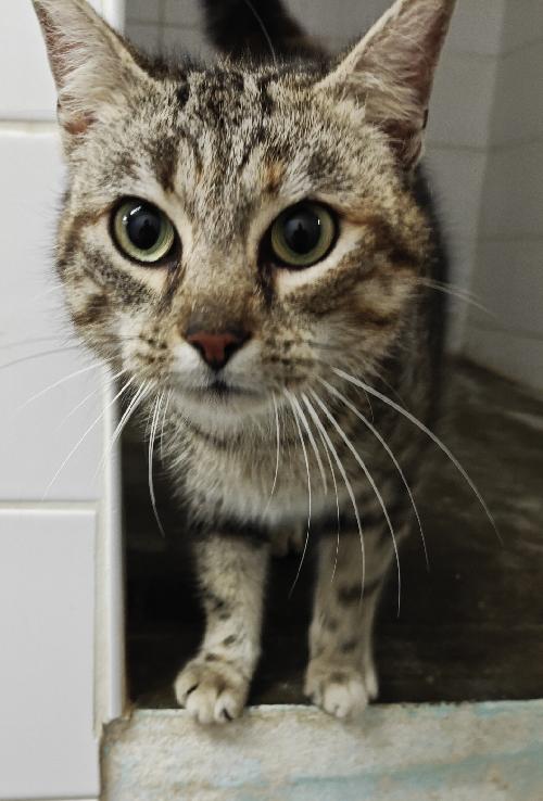 Photo d'un(e) EUROPEEN