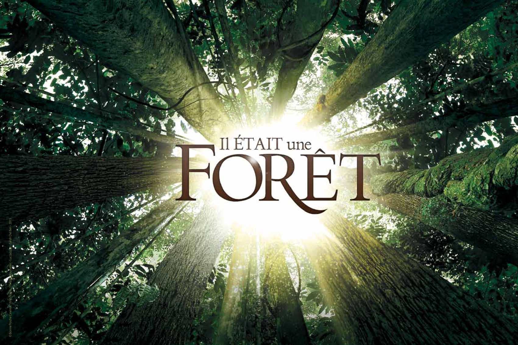 illustration de la manifestation Histoire de Nature : Ciné plein-air : Il était une forêt - Annulé