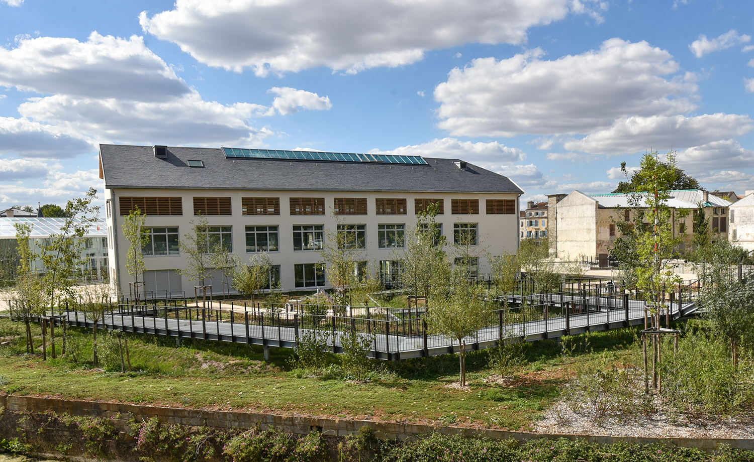 Jardin du marais mouillé après