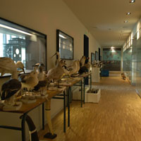- Agrandir l'image, fenêtre modale