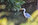 Heron