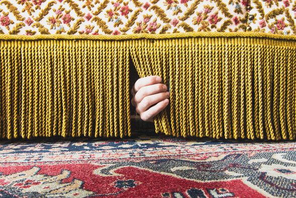  - Agrandir l'image, fenêtre modale