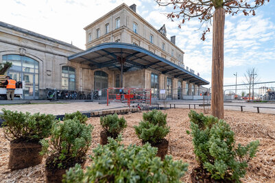 Chantier Gare Niort Atlantique cote Ouest - Agrandir l'image 24 sur [166], fenêtre modale