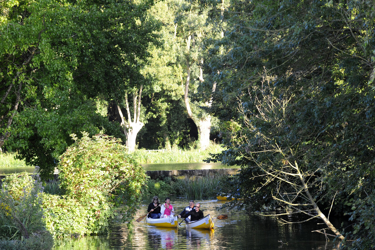 Balade en bord de Sèvre © Christophe Bernard
