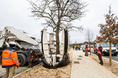 Transplantation des liquidambars - Agrandir l'image 147 sur [166], fenêtre modale