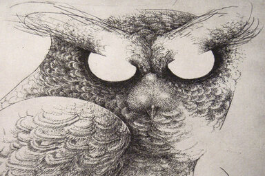 illustration de la manifestation