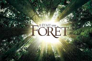 illustration de la manifestation Histoire de Nature : Ciné plein-air : Il était une forêt - Annulé
