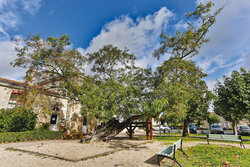 Mairie de Saint-Hilaire-la-Palud