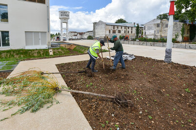 Port Boinot, juin 2020 ©Bruno Derbord 