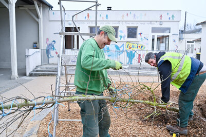 Ecole Jules-Ferry, le 1er février 2024 (photo Darri)
