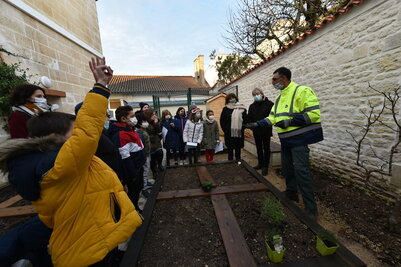 Amenagement d'un jardin Pedagogique