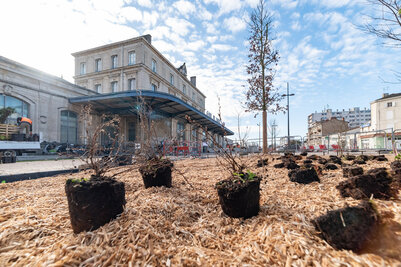 Chantier Gare Niort Atlantique cote Ouest - Agrandir l'image 22 sur [166], fenêtre modale
