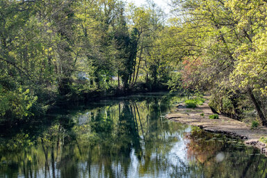 Cours d'eau calme entouré d'arbres verdoyants aux feuilles printanières se reflétant à la surface de l'eau