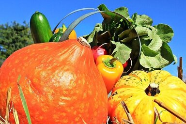 Marchés et producteurs locaux