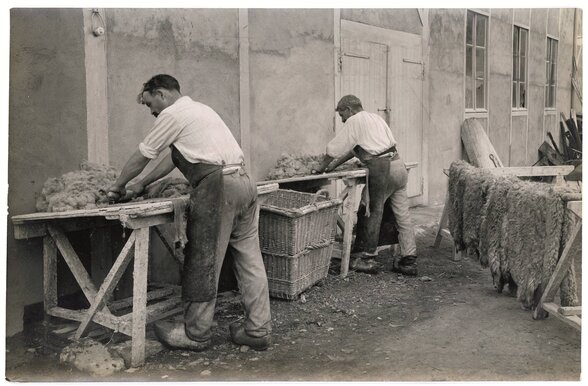  - Agrandir l'image, fenêtre modale