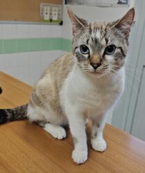 Photo d'un(e) EUROPEEN