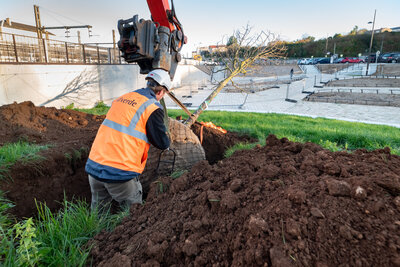  - Agrandir l'image 43 sur [166], fenêtre modale