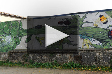 Vidéos sur le festival 4e mur