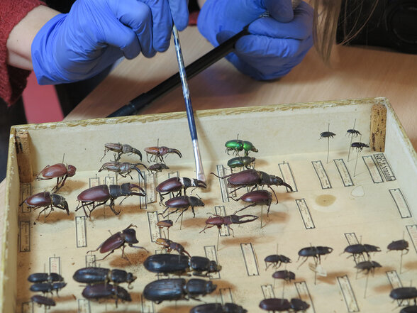  - Agrandir l'image, fenêtre modale