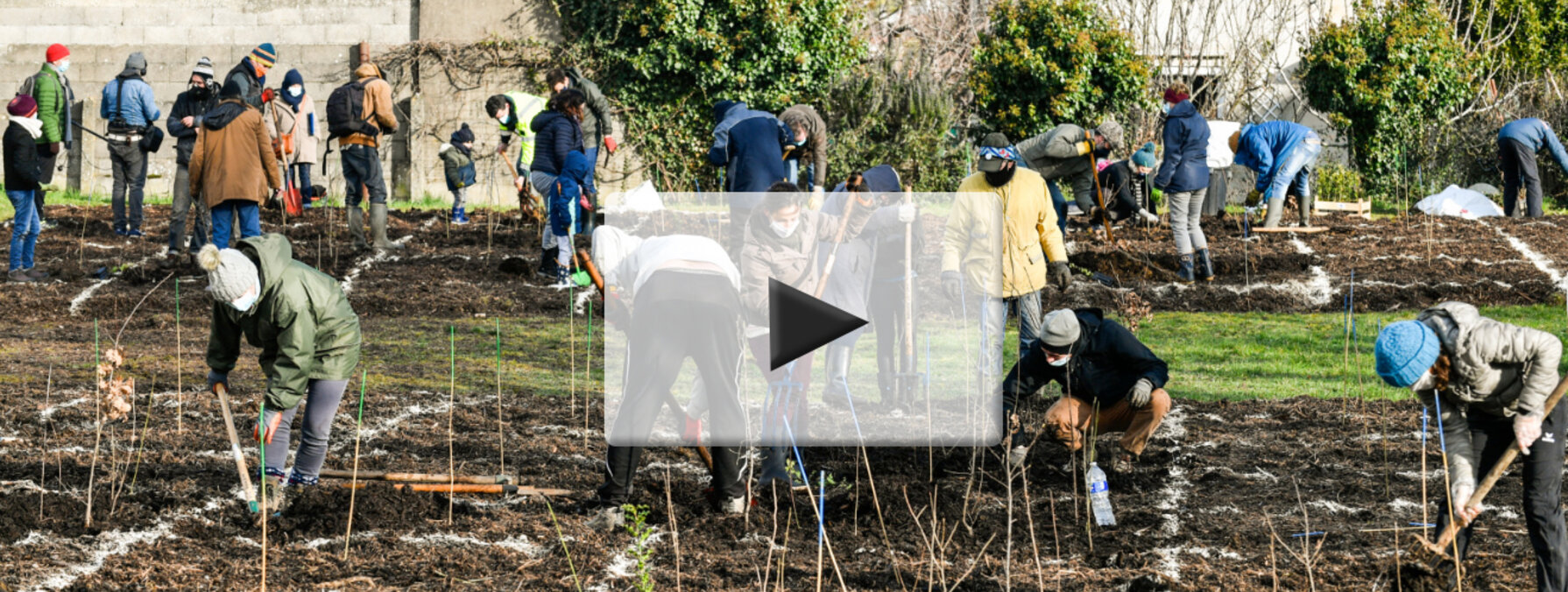 Plantation micro-foret