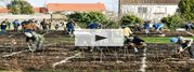 Plantation micro-foret